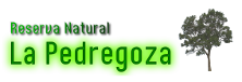 La Pedregoza Logo