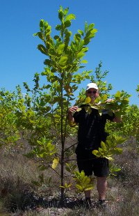 Kochurani and Dexter Dombro doing afforestation